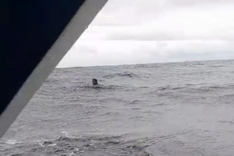 Longboat Pengangkut 4 Ton BBM Terbelah di Laut Maluku, Polisi Lakukan Penyelidikan