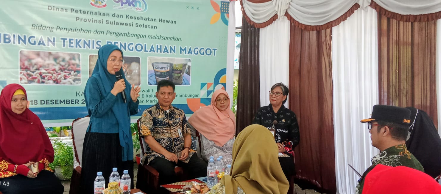 WhatsApp Image 2025-12-18 at 18.02.49