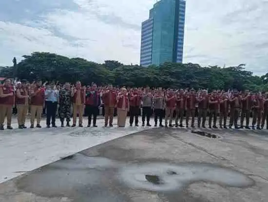 WhatsAppImage2025-12-29at08.44.59